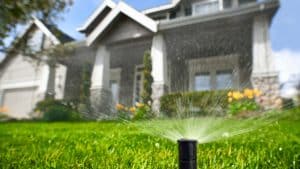 Read more about the article How Often Should I Water My Lawn in Utah?