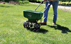 Read more about the article How Do I Fertilize My Lawn?