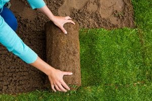 Read more about the article What’s the Difference between Sod and Seed for New Lawns?