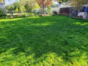 Read more about the article Keeping Your Garden Green: Utah Sprinkler System Best Practices