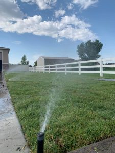 Read more about the article Choosing the Right Sprinkler Heads: Utah’s Plant Diversity