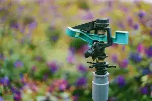 Read more about the article Sprinkler System Maintenance 101: Keeping Your System in Top Shape