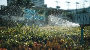 Read more about the article Efficient Irrigation: Saving Water with Precision