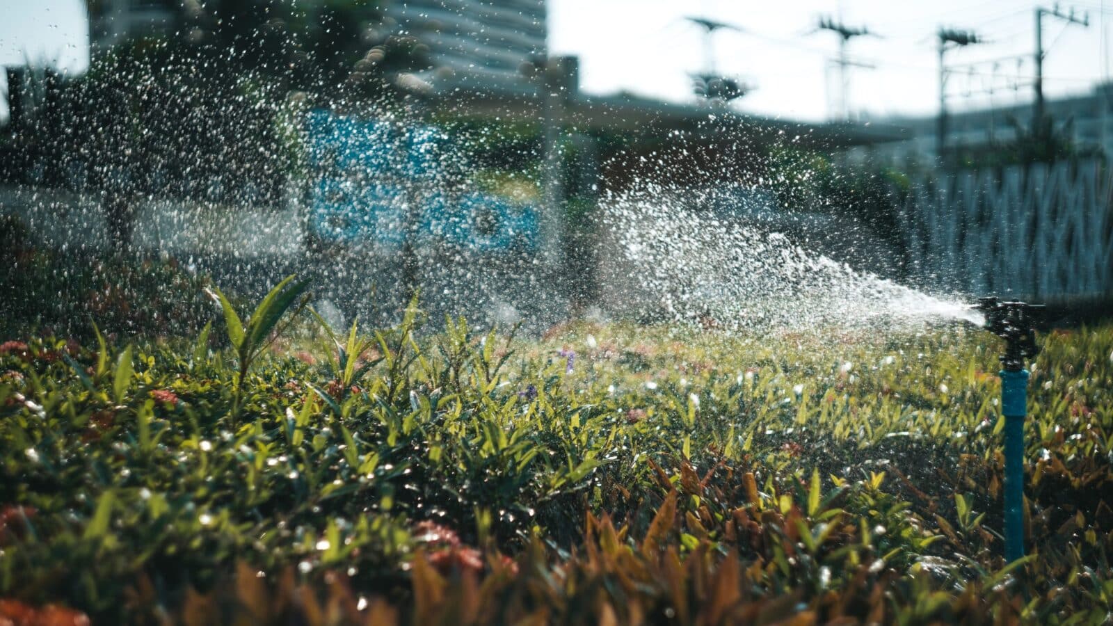 You are currently viewing Efficient Irrigation: Saving Water with Precision