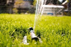 Read more about the article Sprinkler System Trends: Smart Watering Solutions