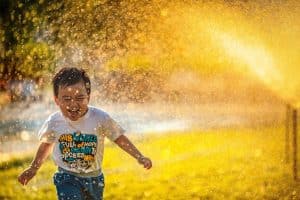 Read more about the article Drip vs. Spray: Choosing the Right Sprinkler System