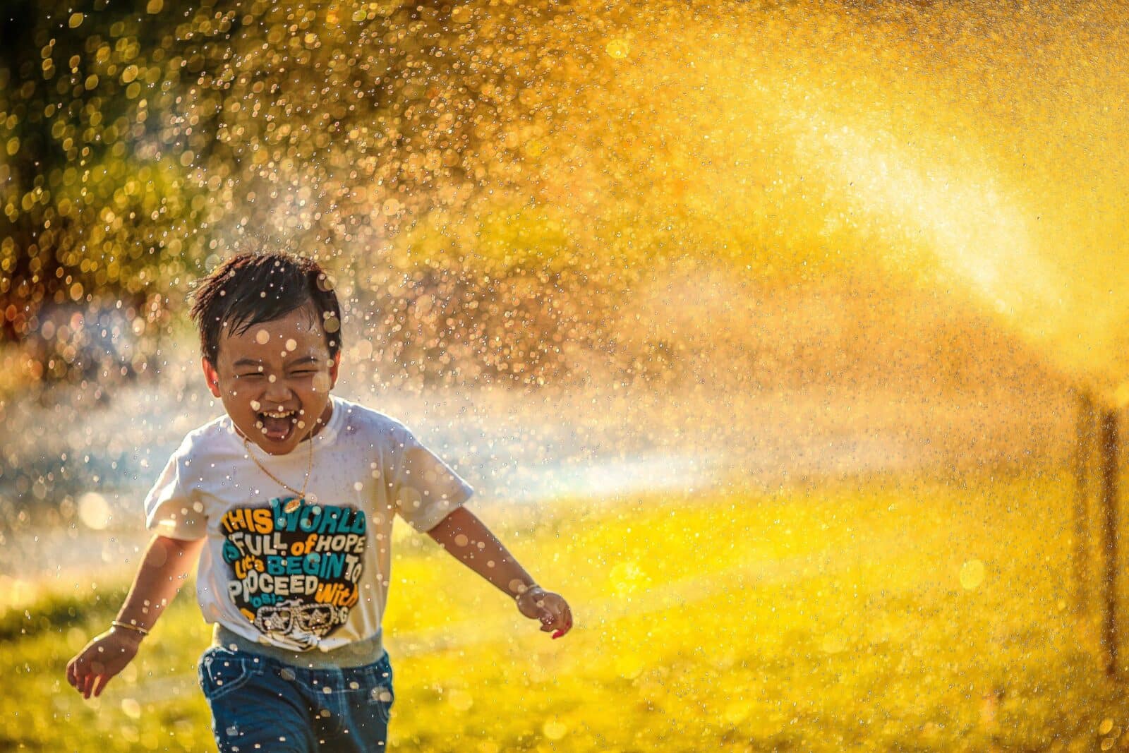 You are currently viewing Drip vs. Spray: Choosing the Right Sprinkler System
